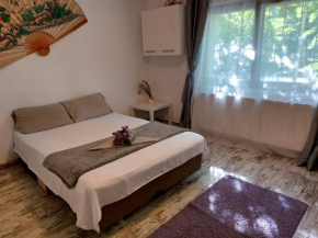 Huge 3 room apartament in city center!